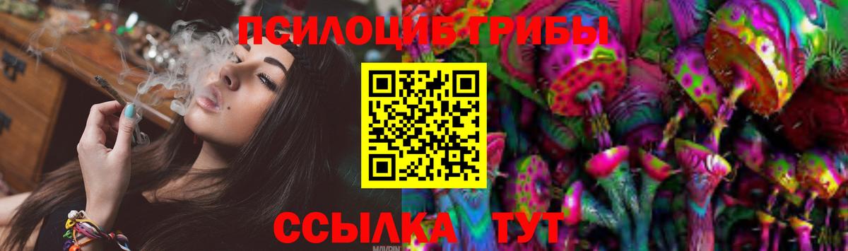 Галлюциногенные грибы мицелий  купить закладку  Холмск  Вход с VPN 